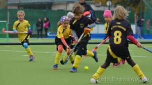 Přátelské utkání